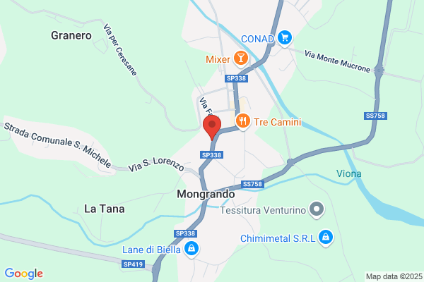 Fiori Per Dire Di Bellotti Orsola