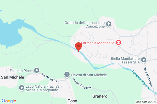 Tecnica Di Pizio Daniele
