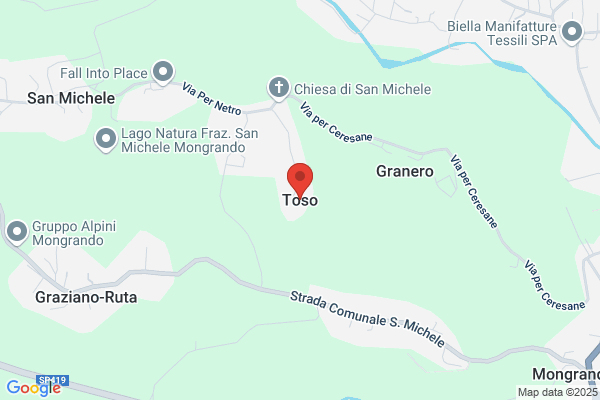 Toso giorgio