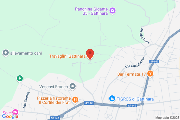 Travaglini gino