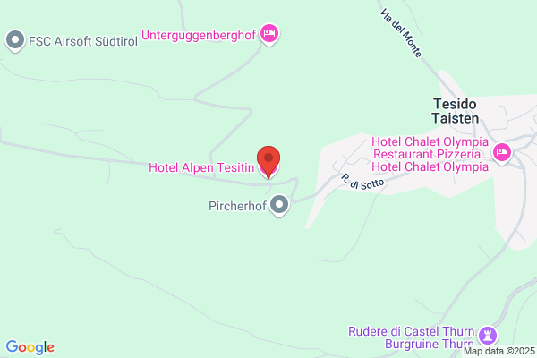 Hotel Alpen Tesitin
