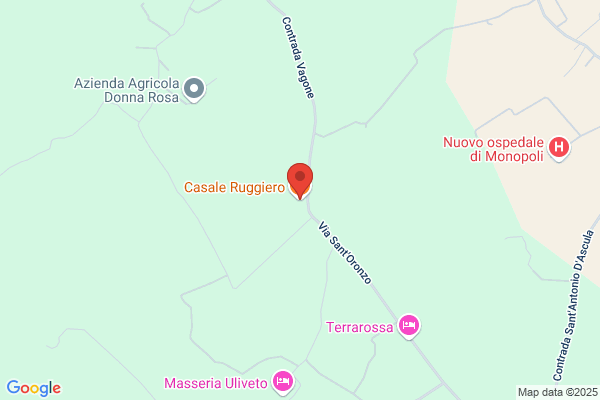 Ruggiero luca (Cav.)