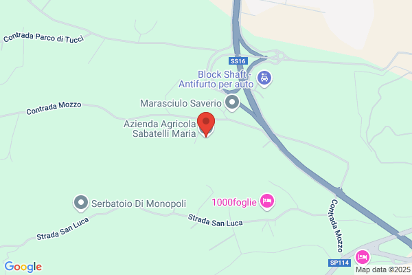 Sabatelli vita Maria