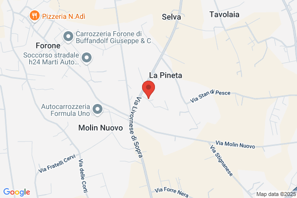Spinetti enrico