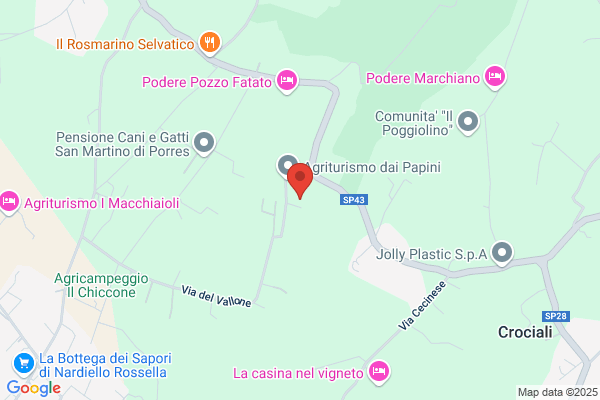 Monsummanese Pozzi (S.N.C.)