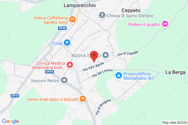 Essegiesse Srl