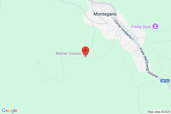 Molise Verso Il 2000 Srl