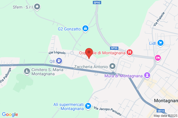 Palace Immobiliare Srl
