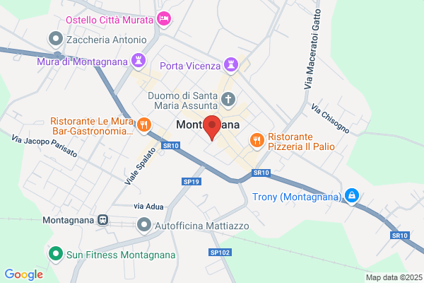 Lorenzetto nevio