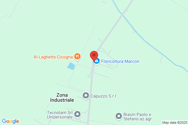 Marcon viglio