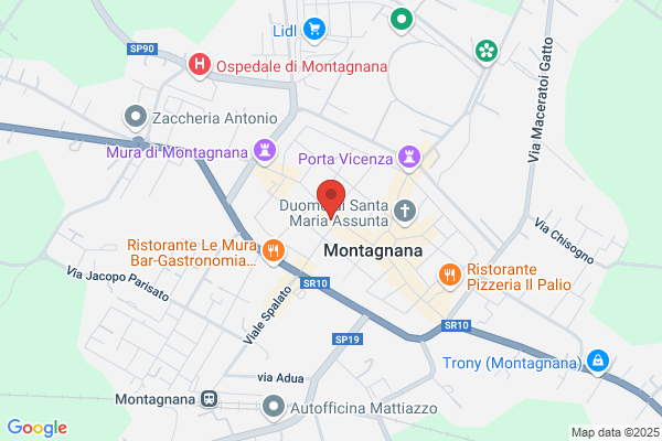Manfrin leonardo (Dr.)