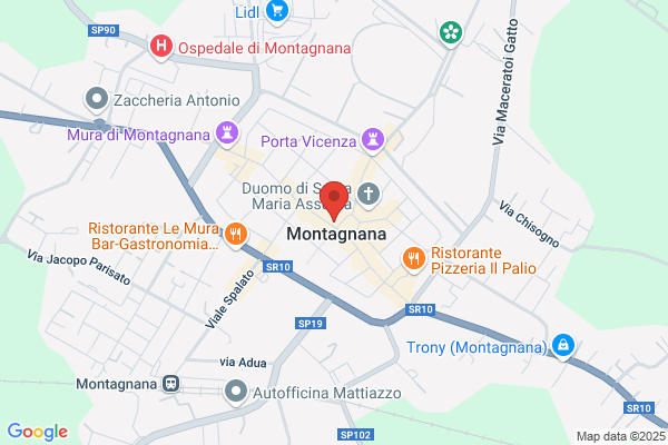 Mantovani valerio