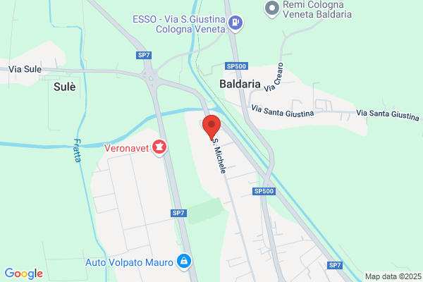 Dal Molin Impianti