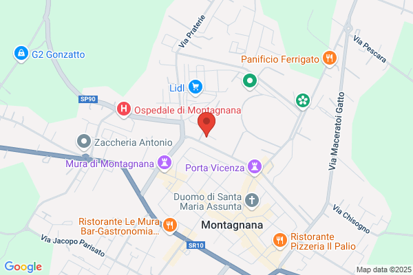 Consorzio Trasportatori Montagnanesi (S.R.L.)