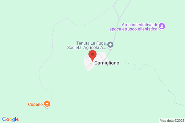 Castello Di Camigliano Srl