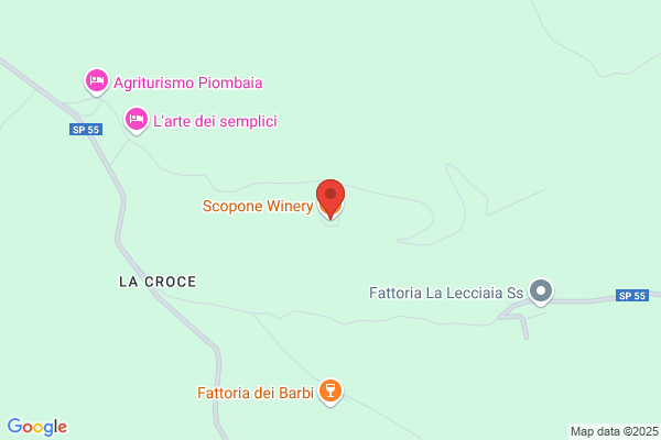Nuova Scopone S.R.L.