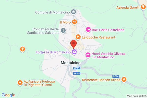 Partito Democratico Della Sinistra