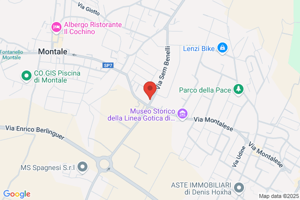 Livecchi mario