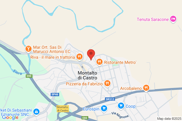 Tuscia Driver Service