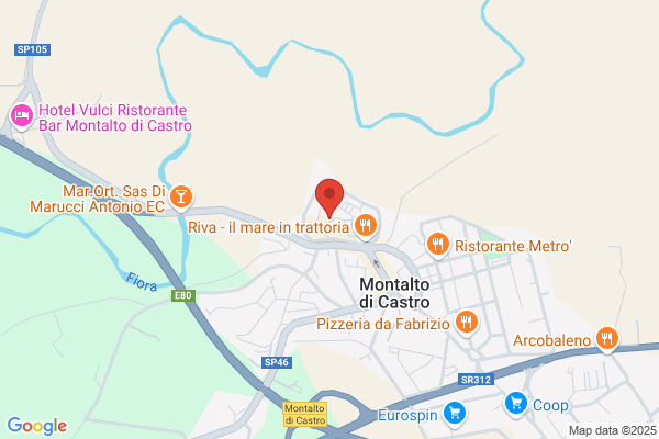 Partito Democratico Della Sinistra