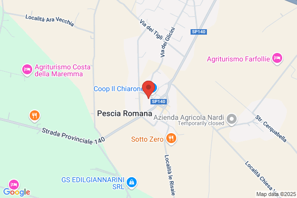 Pecci daniela