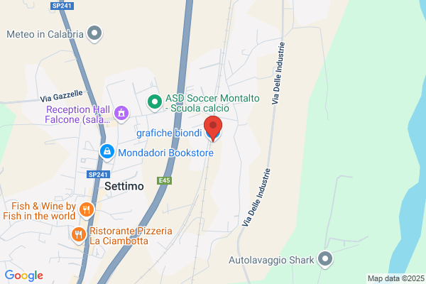 grafiche biondi