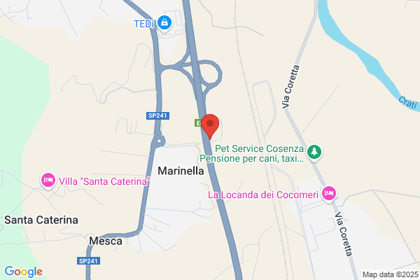 Campobasso Group