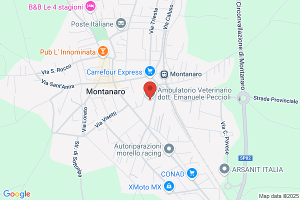 Ambulatorio Veterinario Peccioli Dr. Emanuele