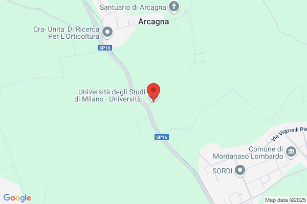 Universita Degli Studi Di Milano