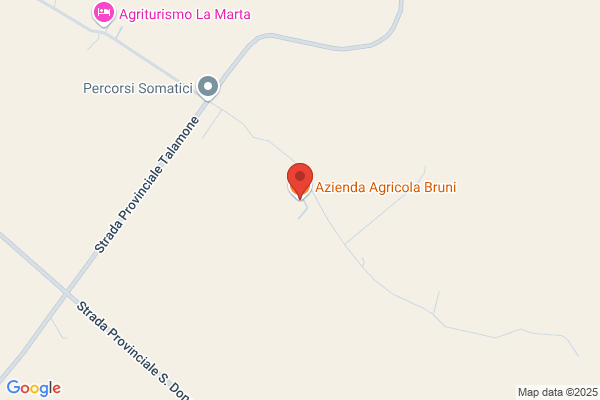 Bruni andrea