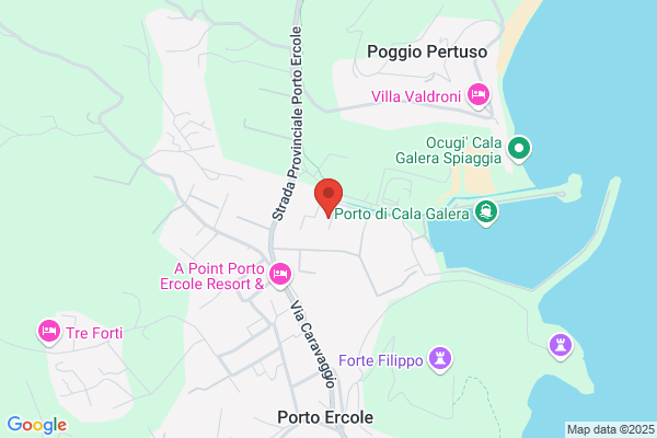 Dgnet Di Gino Fiorentini