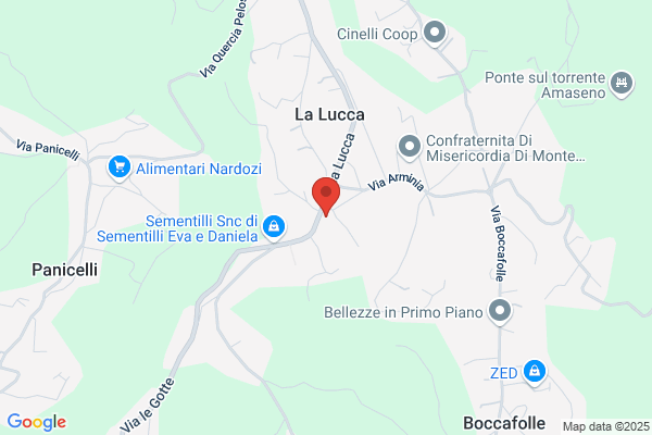 Igneo Assunta