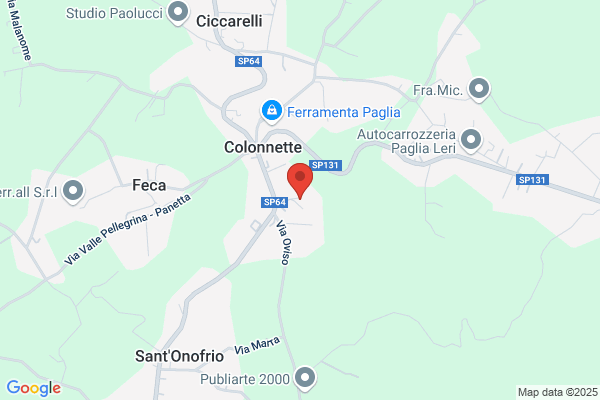 Palombi domenica