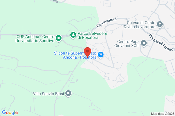 Impresa Vettore Srl