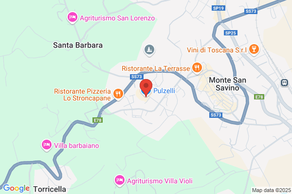 Pulzelli lamberto