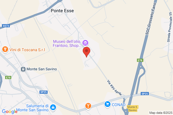 Violi Macchine Di Violi Giorgio