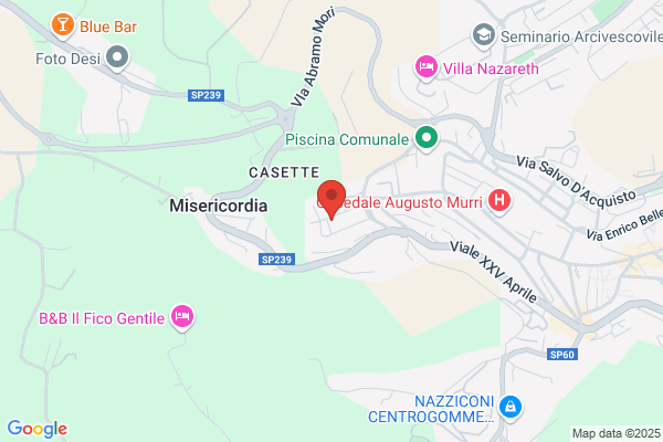 Mosca massimo