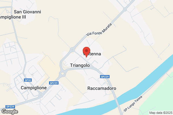 Meccoscarpa (S.R.L.)