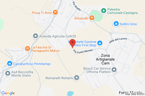Ponzanesi marco