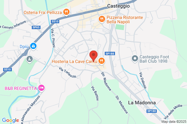 CASA DI RIPOSO R.S.A. IL POGGIO - COOPSELIOS