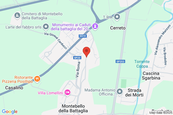 Martian octavia Crinela