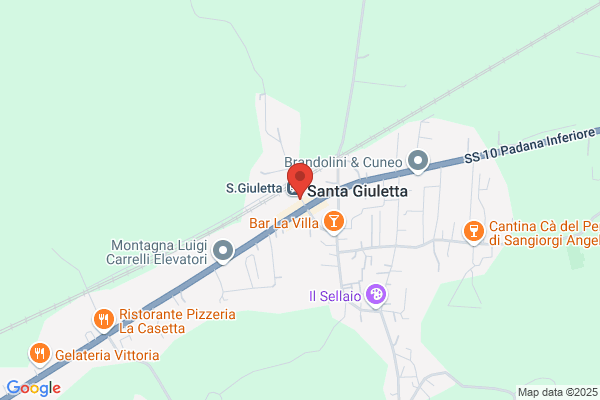 Ferrovie Dello Stato Societa Di Tras. E Servizi per azioni