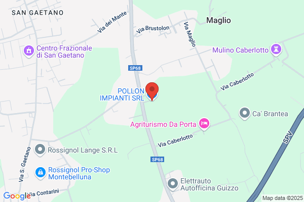 Pollon angelo