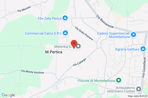 Regola Darte Di Sartor Giovanni