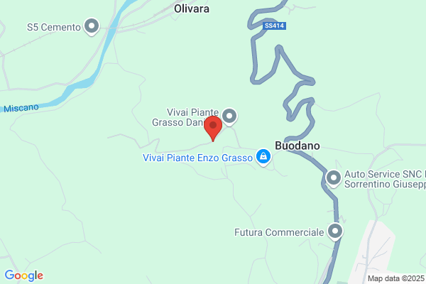 Vivai Grasso Enzo