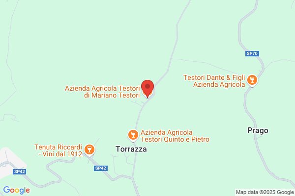 Azienda Agricola Testori di Mariano Testori