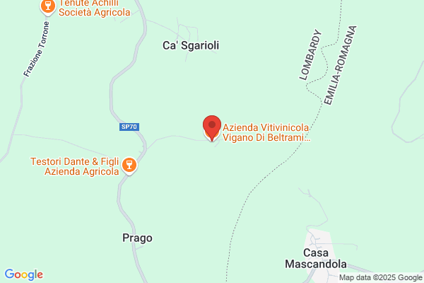 Azienda Vitivinicola Vigano