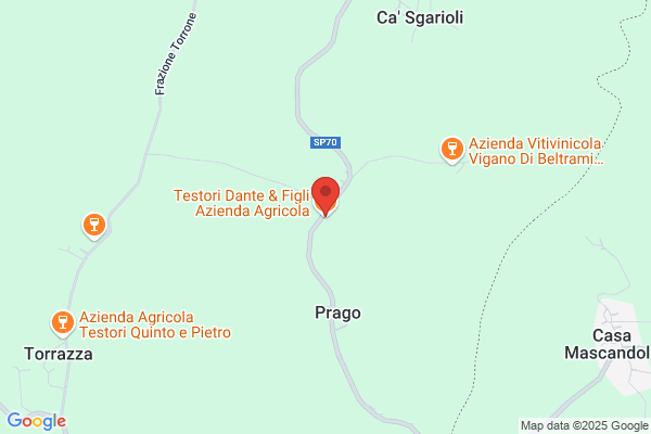 Testori Dante & Figli Azienda Agricola