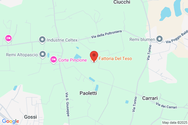 Fattoria Del Teso S.R.L.