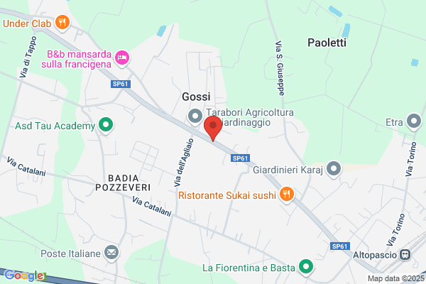 Giannoni Arturo Srl